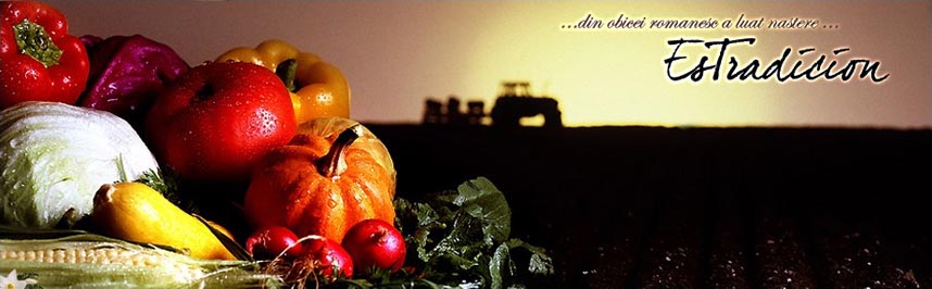 ROMANIAN FOOD AND BEVERAGE DISTRIBUTOR